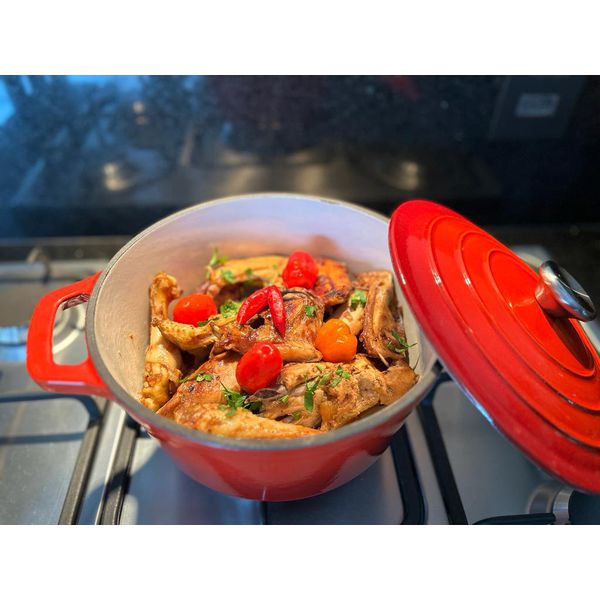 Panela de Ferro Fundido Esmaltada 24 cm 