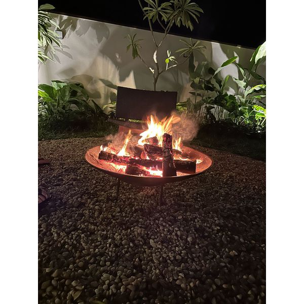 Lareira Disco em Ferro Fundido Média