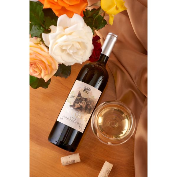 Pinot Grigio 2022 | Vinho Fino Branco Seco