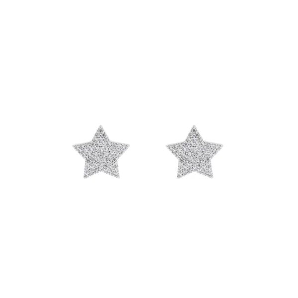 Brinco Estrela Cravejada 