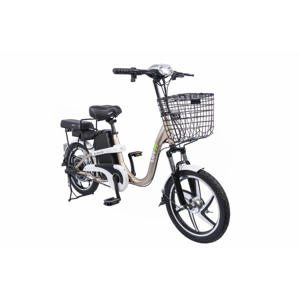 E BIKE