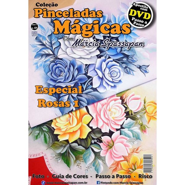 DVD DUPLO Coleção Pinceladas Mágicas Edição 1 com Apostila Rosas