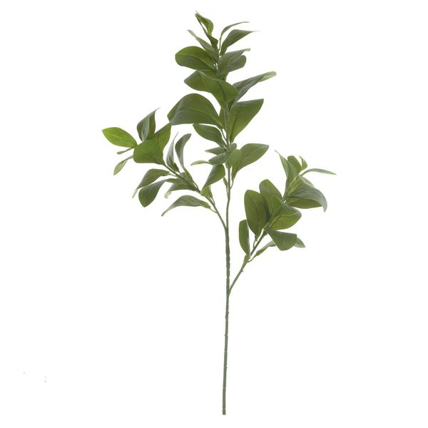 Galho Verde Clusia Grande Folhagem Artificial Para Decoração