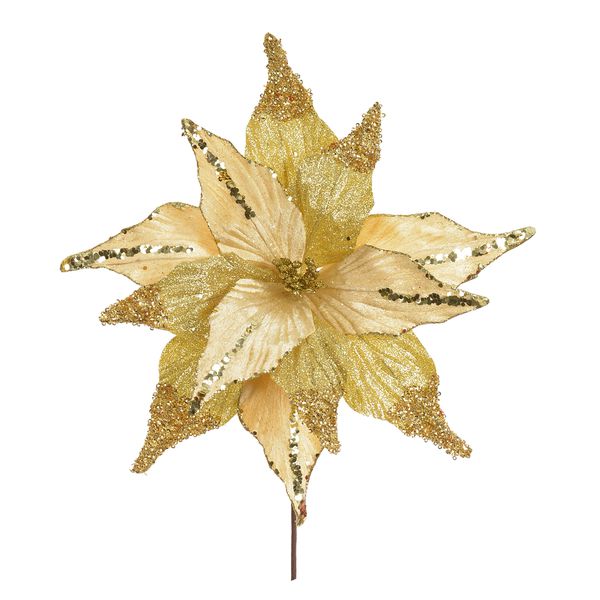 Flor Natalina Grande Poinsetia Veludo Dourado Com Brilho Dourado