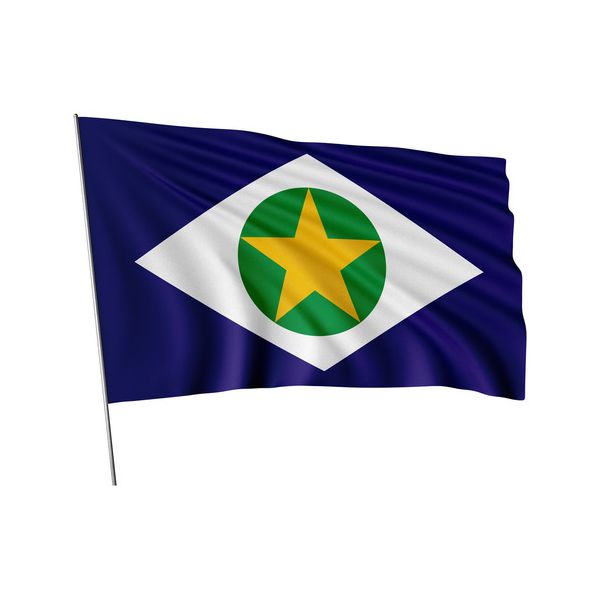 Bandeira Em Tecido De Estados Brasileiros 1,50x1,00