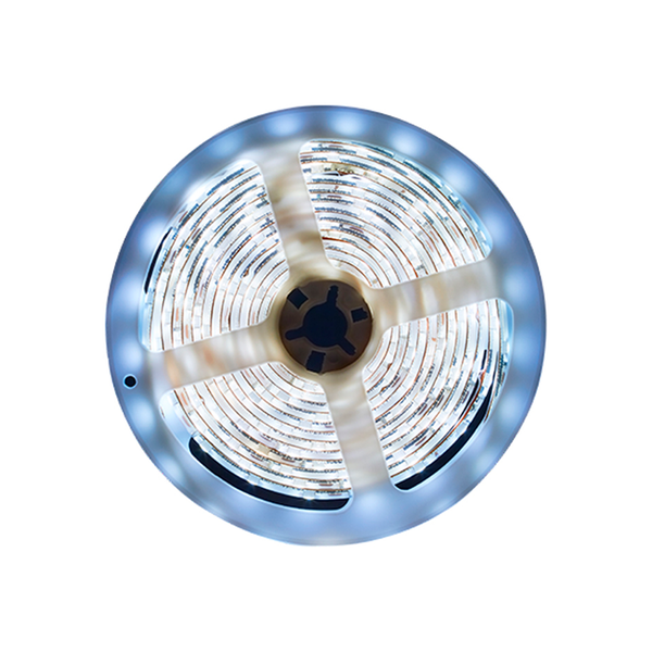 Fita LED Avant Interna Luce 5M 15W BR6500K 12V
