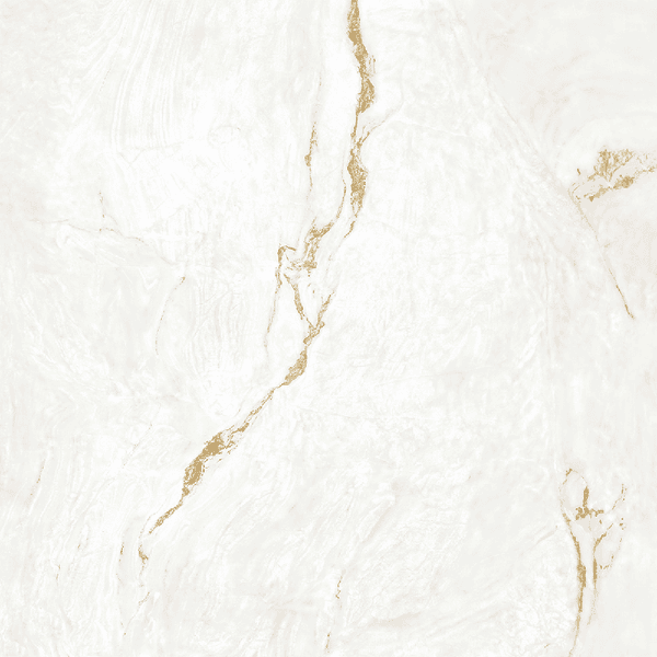 Porcelanato Portinari 120x120 Parana Gold WH NAT DD