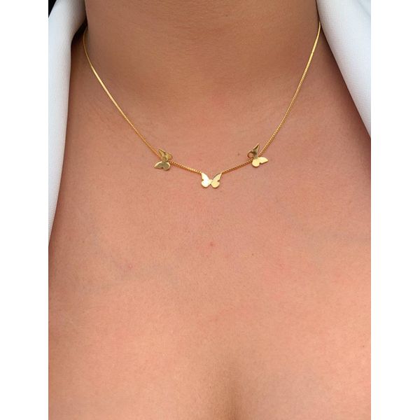 conjunto de borboletas liso