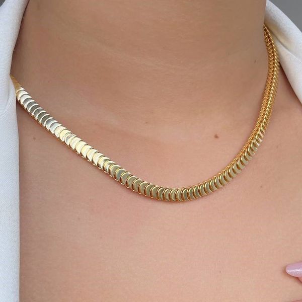 Colar de Escama lisa 