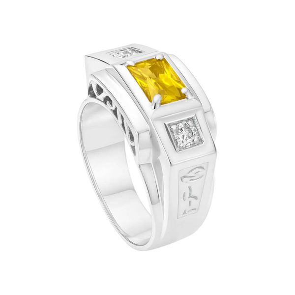 Anel de Formatura Símbolos Farmácia Masculino em Prata 950 Mod. Louí