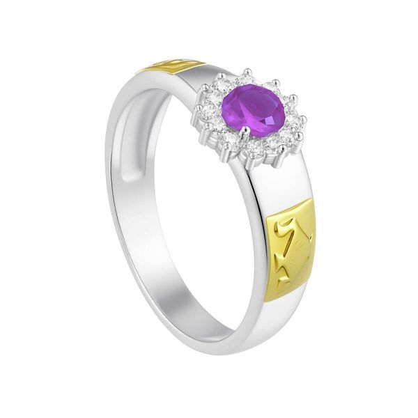 Anel em Prata Formatura Feminino Emblemas Ouro 18k 750