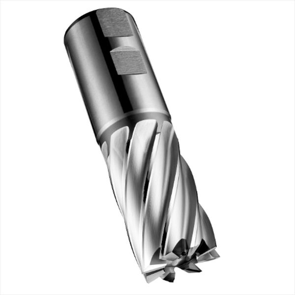 Fresa Topo v Cortes Hss Din 844 25,0mm C24725.0 Dormer