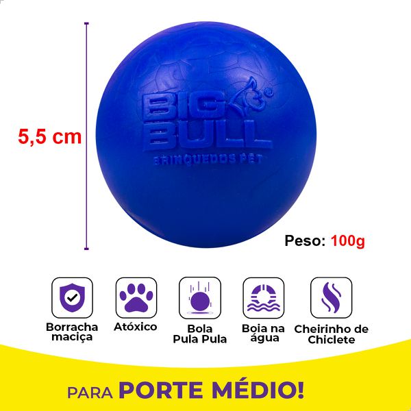 Pote 10 Bolas Porte Pequeno - Big Bull Pet