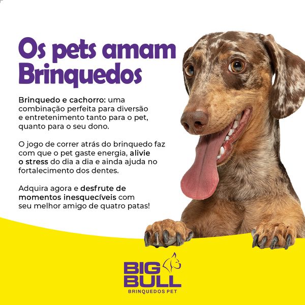 Bola Futebol Americano Brinquedo Porte Médio - Big Bull Pet