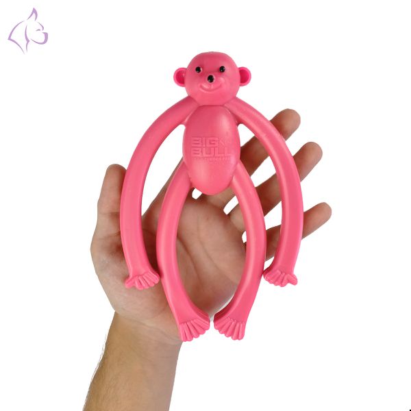 Macaquinho Brinquedo Porte Pequeno - Big Bull Pet