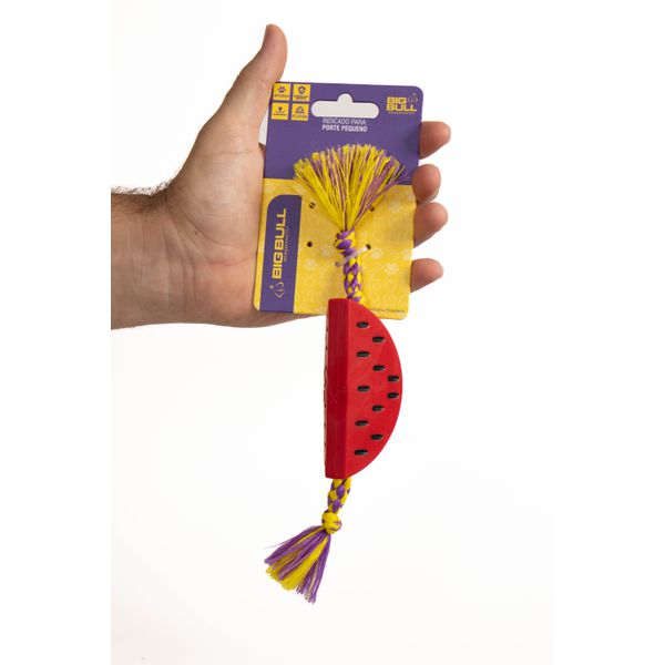 Dental Bone Melancia - Big Bull Pet 