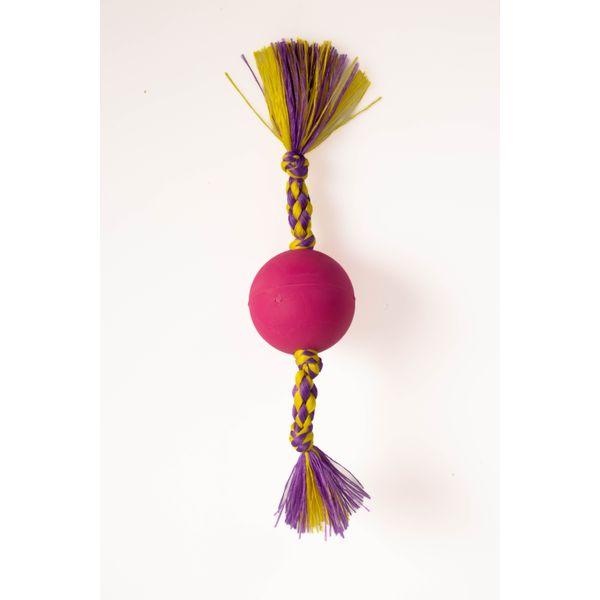 Dental Bone Bola Lisa 45mm - Big Bull Pet 