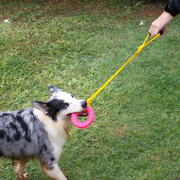 Cabo de Guerra Anel G Porte Médio - Big Bull Pet