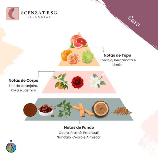 ESSENCIA CARO FEMININO PREMIUM 100ML