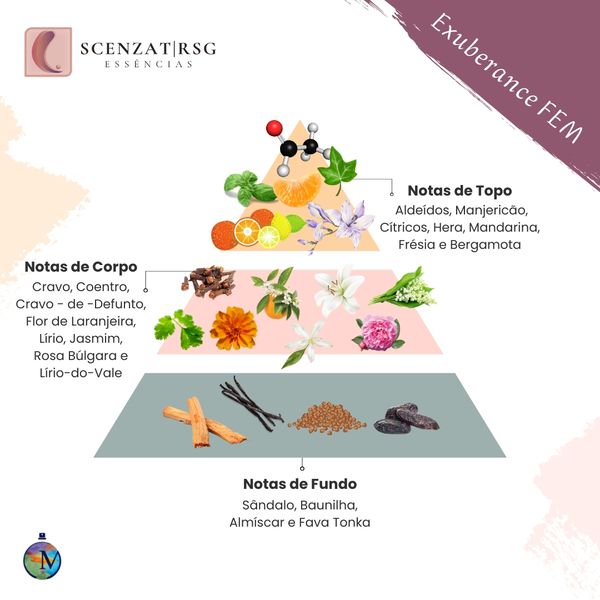 ESSENCIA EXUBERANCE FEMININO PREMIUM 100ML