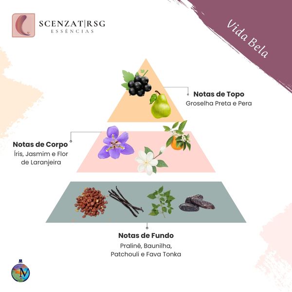 ESSENCIA VIDA BELA PREMIUM SCENZAT RSG 100ML