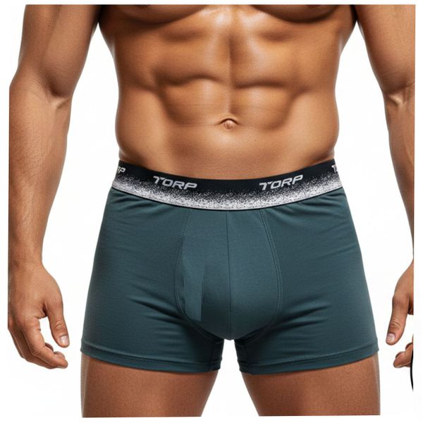 Cueca Boxer Microfibra Sport- (TP7320) - Chumbo
