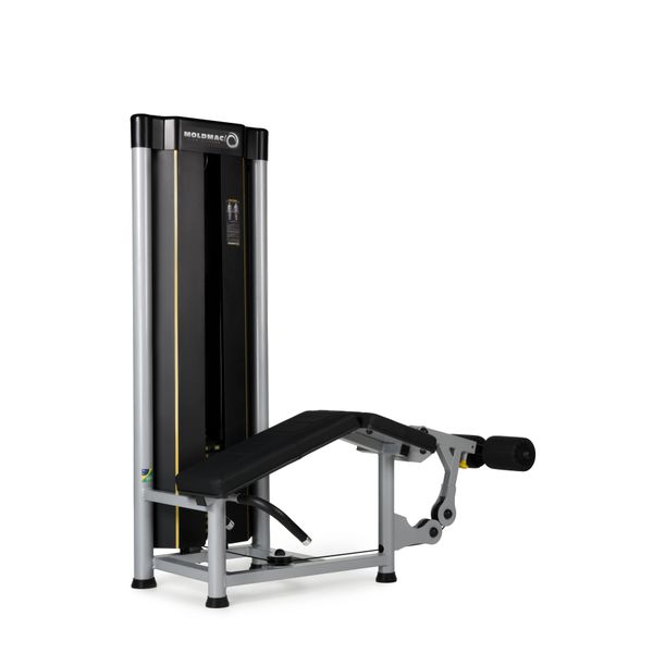 Mesa Flexora