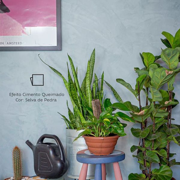 Cimento Queimado Selva De Pedra Suvinil 5kg