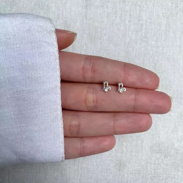 BRINCO SIGNO CAPRICÓRNIO ZIRCÔNIA CRISTAL PRATA 92... - My Prata Joias