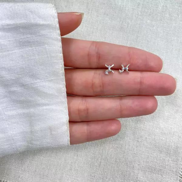 BRINCO SIGNO PEIXES ZIRCÔNIA CRISTAL PRATA 925 - My Prata Joias