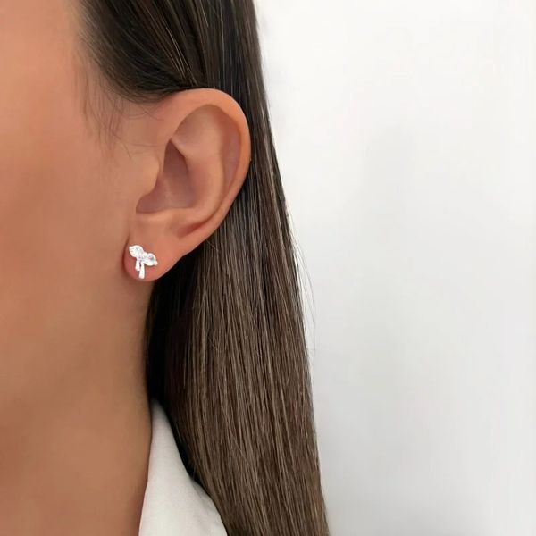 BRINCO LAÇO ZIRCÔNIA CRISTAL PRATA 925 - My Prata Joias