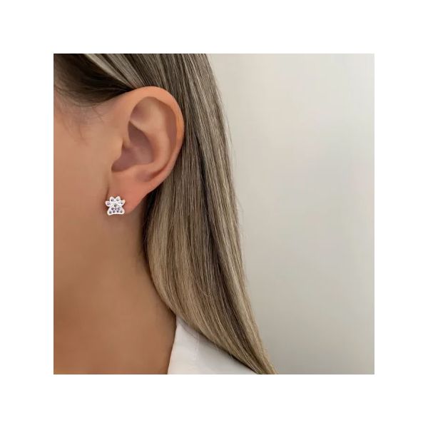 BRINCO PATA ZIRCÔNIA LILÁS PRATA 925 - My Prata Joias