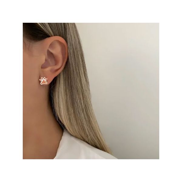 BRINCO PATA ZIRCÔNIA CRISTAL PRATA 925 - My Prata Joias
