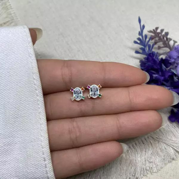 BRINCO OVAL CRISTAL E COLOR PRATA 925 - My Prata Joias