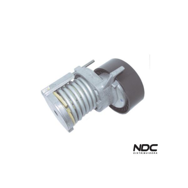 N29038 - TENSOR CORREIA