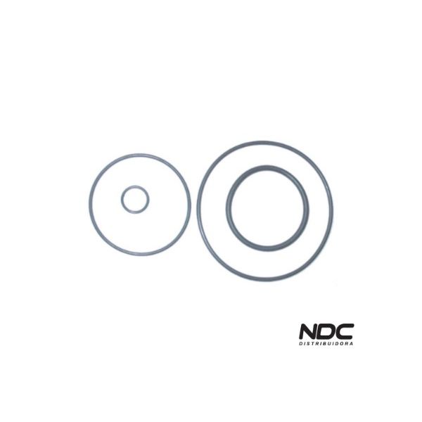 N20133 - KIT VEDADORES MOTOR