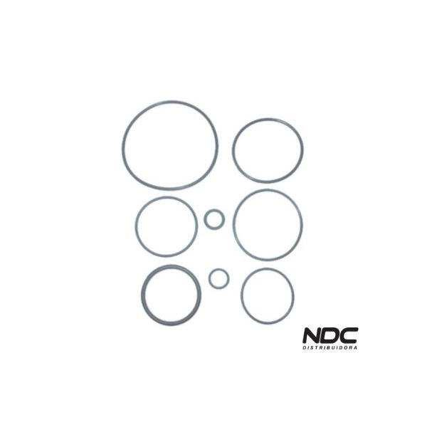 N20134 - KIT VEDADORES MOTOR