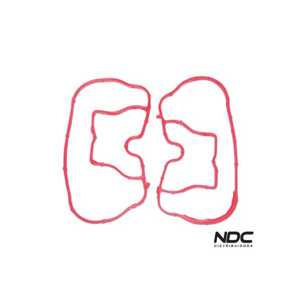 N37033 - KIT VEDACAO COLETOR