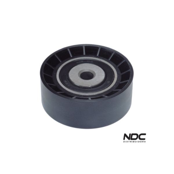 N29007 - POLIA CORREIA