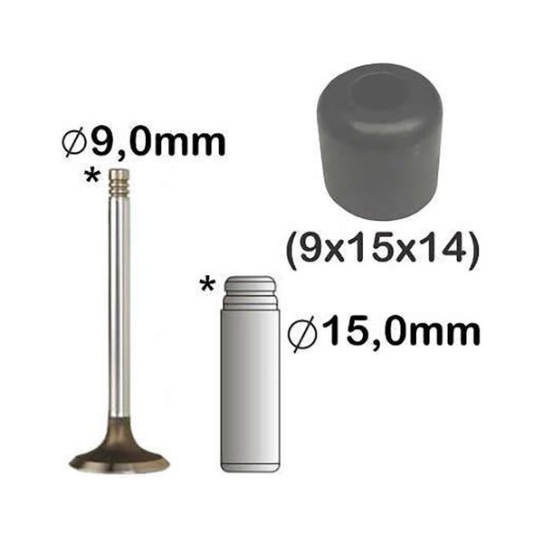 N58109NBASTOS - 1221815 RETENTOR
