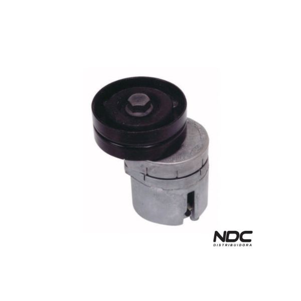 N35546 - TENSOR CORREIA