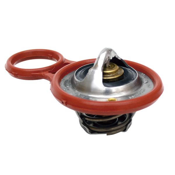 N47216 - VALVULA TERMOSTATICA