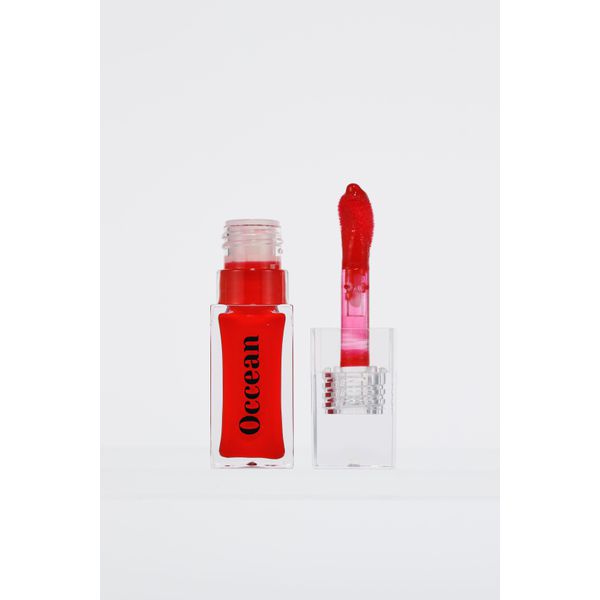 Moisturizing Lip Gloss - 17