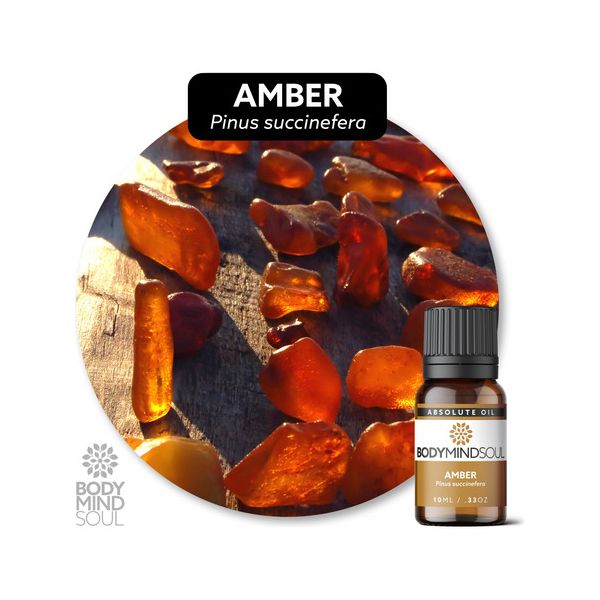 Óleo Absoluto Âmber Âmbar - Pinus Succinefera