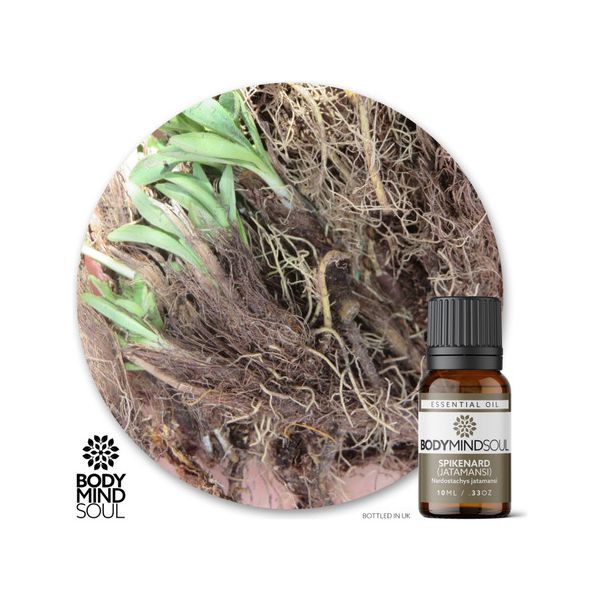 Óleo Essencial Spikenard Jatamansi Nardo Verde