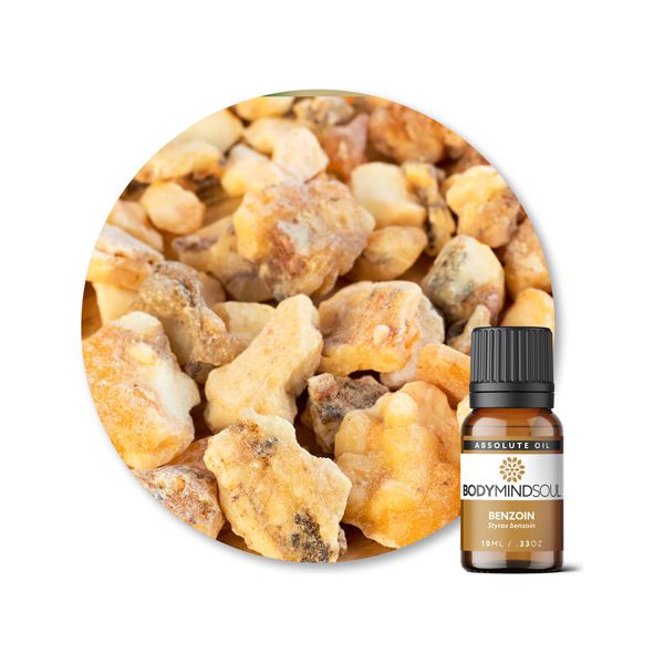 Óleo Absoluto Benjoin Resina - Benzoin Resin 10ML