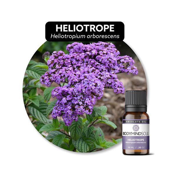Óleo Essencial Absoluto Heliotrópio Heliotrope Orgânico