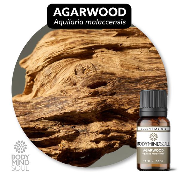 Óleo Essencial Agarwood (Oud) - Aquilaria malaccensis 50ML