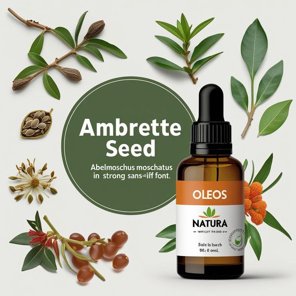 Óleo Essencial Ambrette Seed - Ambreto Sementes