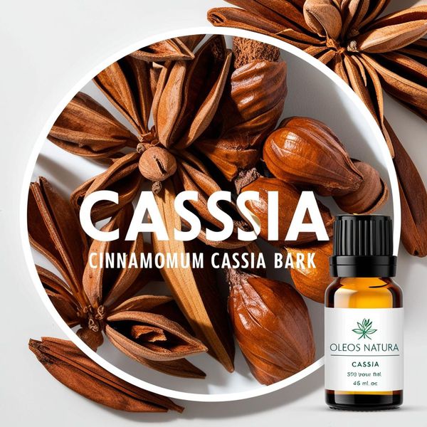 Óleo Essencial CASSIA - CANELA CHINESA
